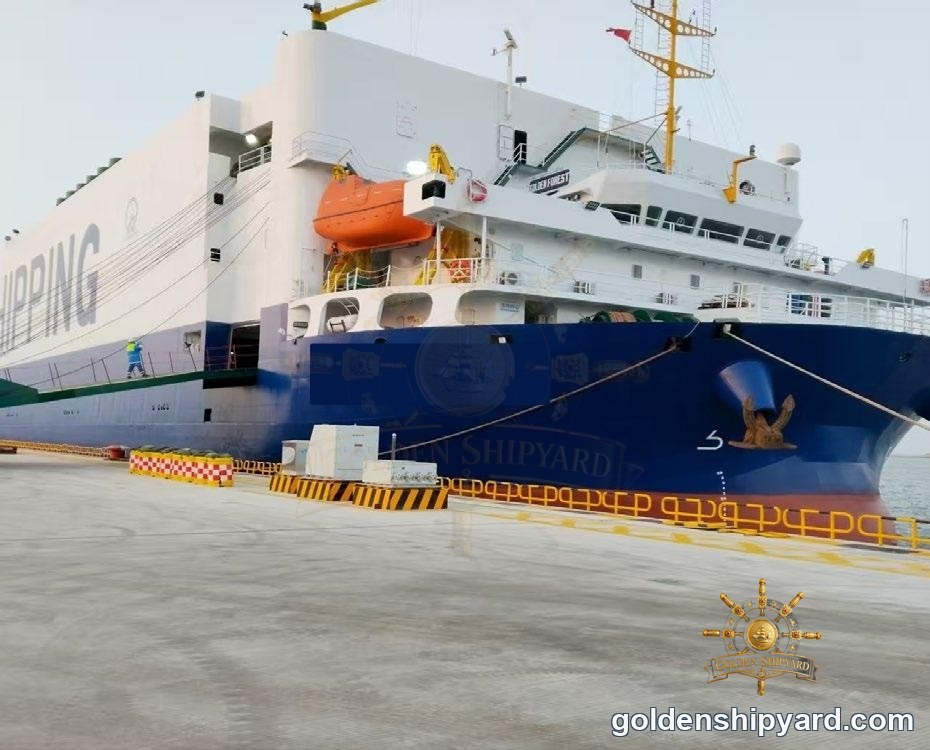 2 200 voitures RoRo / Transporteur de voitures (2022) — En stock