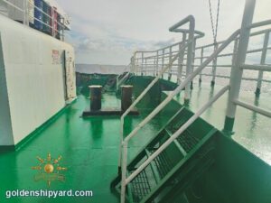 2,200 cars RoRo / Car Carrier (2022) — In Stock — 4