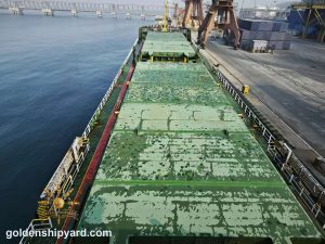 7,490 DWT Bulk Carrier (2020) — In Stock — 15